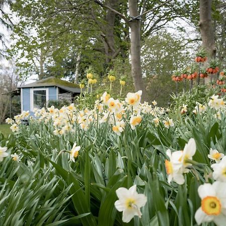 Gartenidyll Insel Ruegen Poppelvitz Bei Altefaehr Apartamento Exterior foto