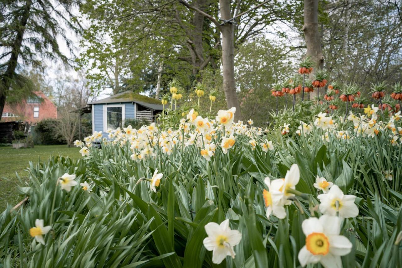 Gartenidyll Insel Ruegen Poppelvitz Bei Altefaehr Apartamento Exterior foto